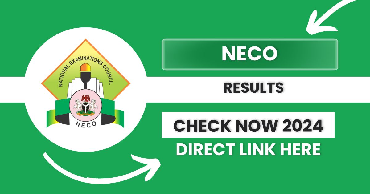 NECO Results 2024: Step-by-step guide to check 2024 NECO results